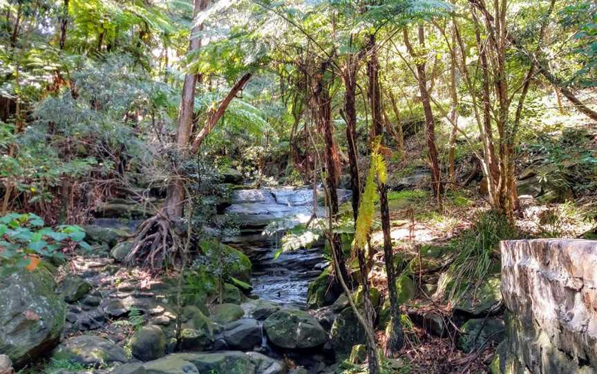 Harbourview Park, Woollahra, NSW