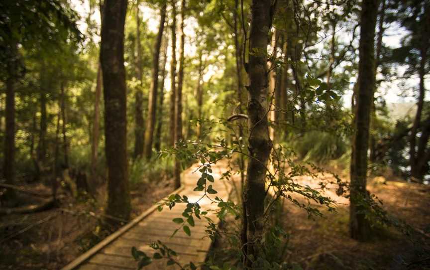 Huon Pine Walk, Corinna, TAS