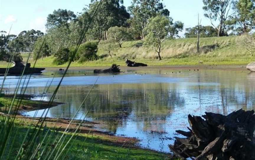 Morang Wetlands, South Morang, VIC