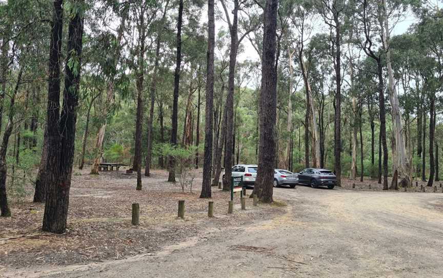 Moggs Creek Picnic Area, Aireys Inlet, VIC