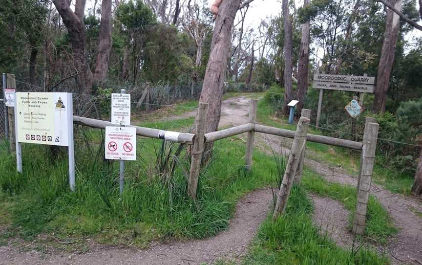 Moorooduc Quarry Flora And Fauna Reserve, Moorooduc, VIC