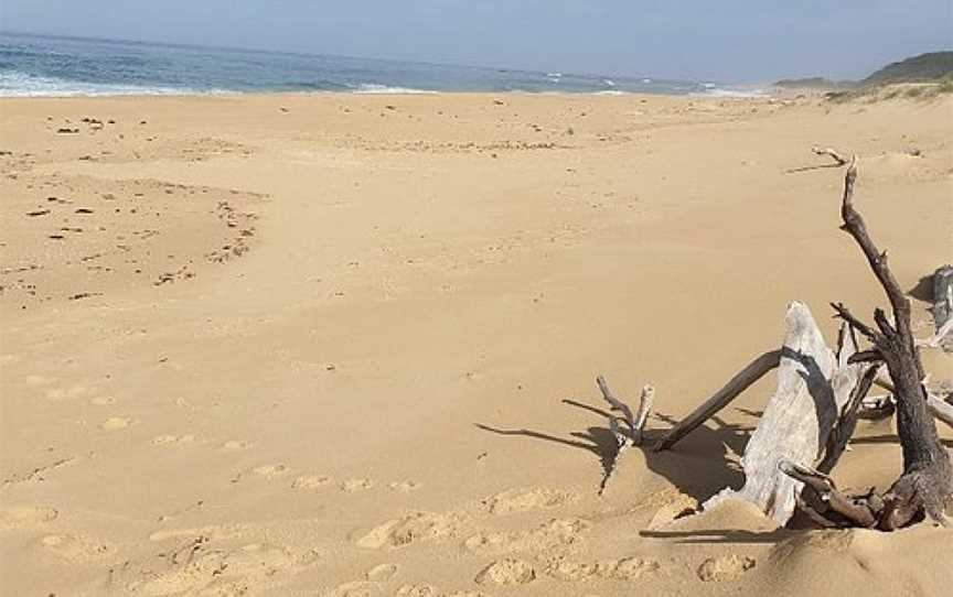 Point Ricardo Beach, Marlo, VIC