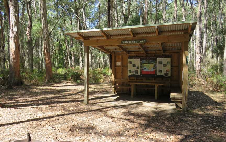 Cobboboonee National Park, Heywood, VIC