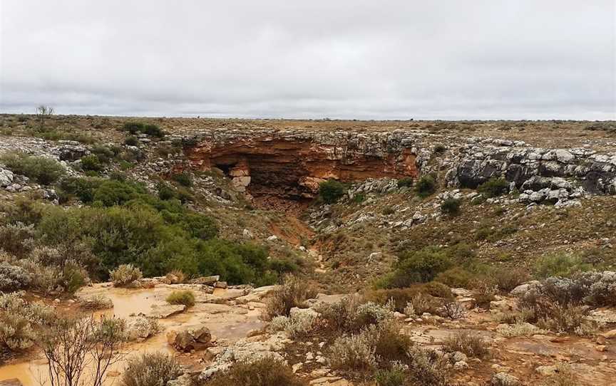 Cocklebiddy Cave, Cocklebiddy, WA