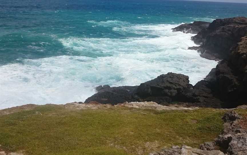 Discovery Bay Marine National Park, Cape Bridgewater, VIC