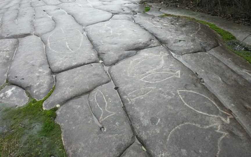 Elvina Track Aboriginal Engraving Site, Ku-Ring-Gai Chase, NSW