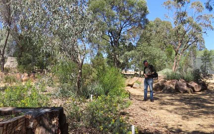 Endemic Gardens, Grenfell, NSW