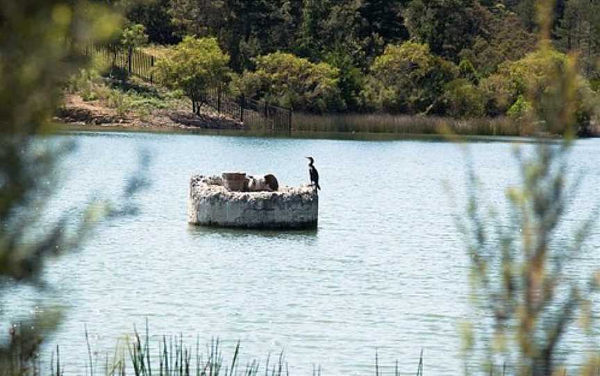 Frankston Nature Conservation Reserve, Frankston, VIC