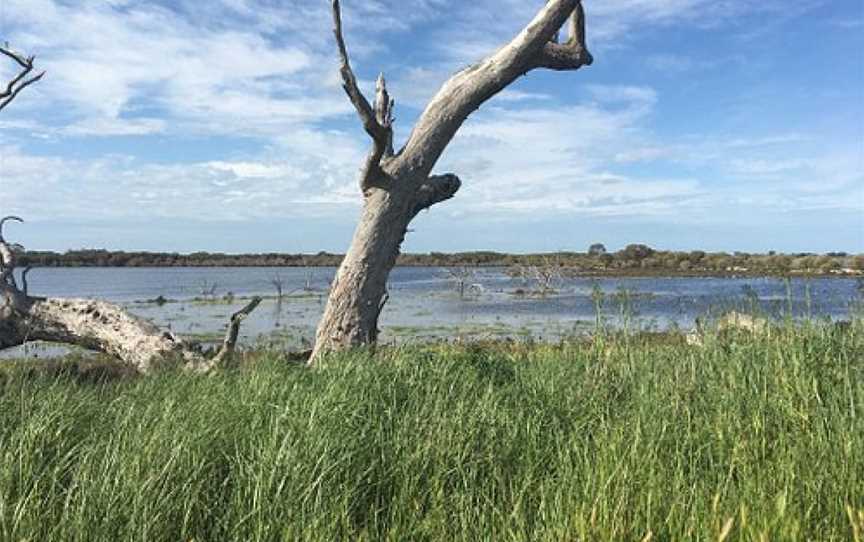 Grassflat Swamp Flora and Fauna Reserve, Natimuk, VIC