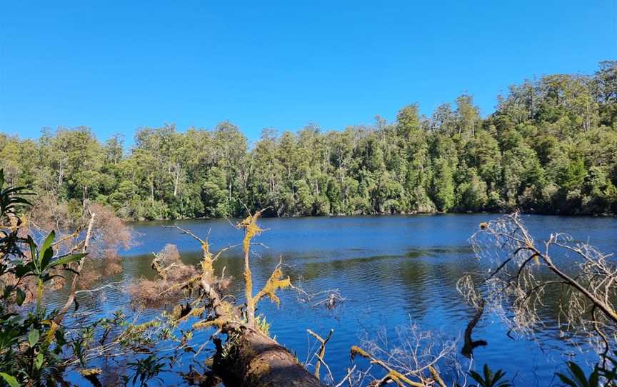 Lake Chisholm, Arthur River, TAS