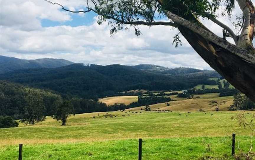 Little Charli's Lookout, Neerim South, VIC