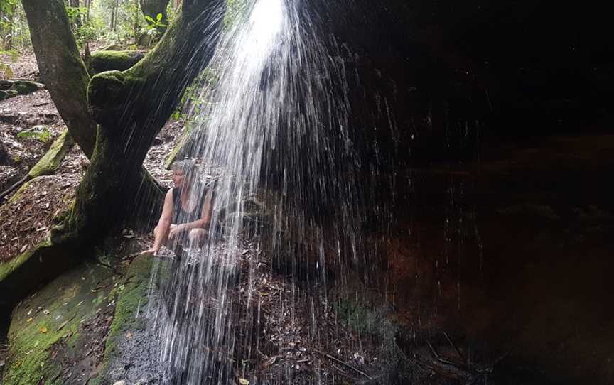 Olney State Forest, Laguna, NSW