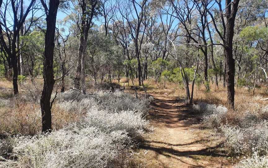 Tregole National Park, Morven, QLD