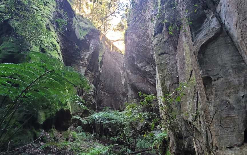 Wards Canyon, Carnarvon National Park, QLD