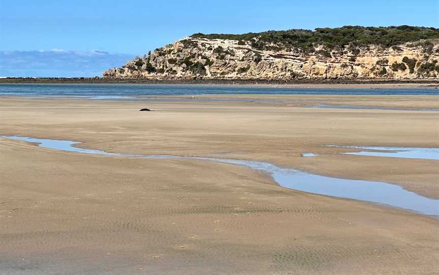 Barwon Heads Bluff, Barwon Heads, VIC