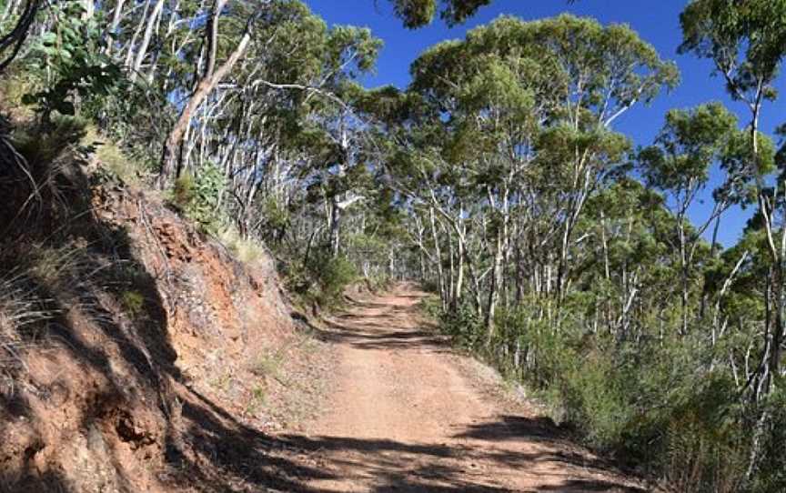 Chambers Gully Hike, Cudlee Creek, SA