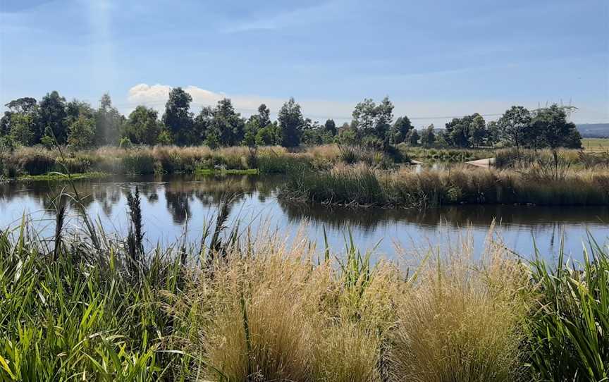 Firmins Lane Wetlands, Morwell, VIC