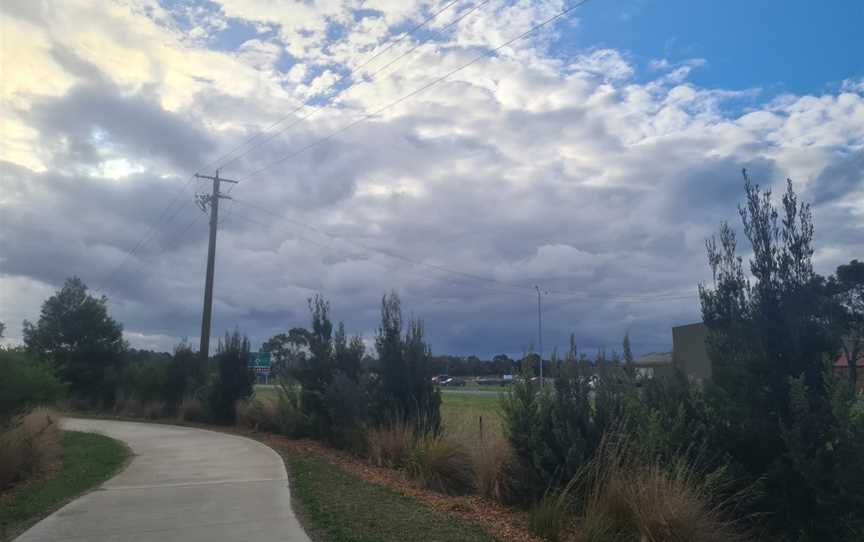 Firmins Lane Wetlands, Morwell, VIC