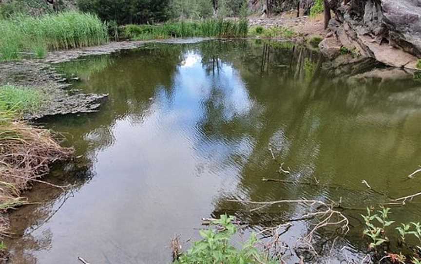 Gorge Rock Pool Picnic Area, Carnarvon National Park, QLD