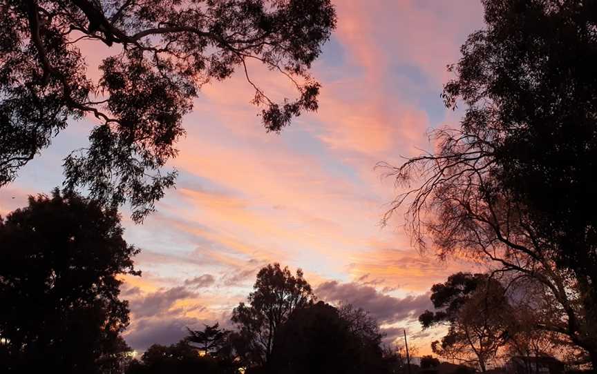 Halley Park, Bentleigh, VIC