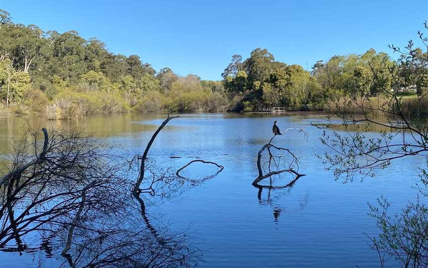 Jubilee Lake, Daylesford, VIC