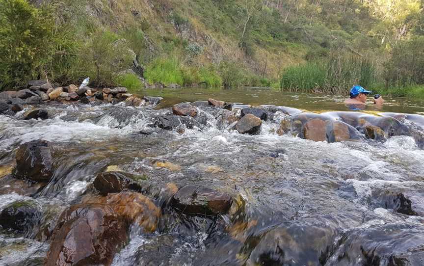 Marrangaroo National Park, Wallerawang, NSW