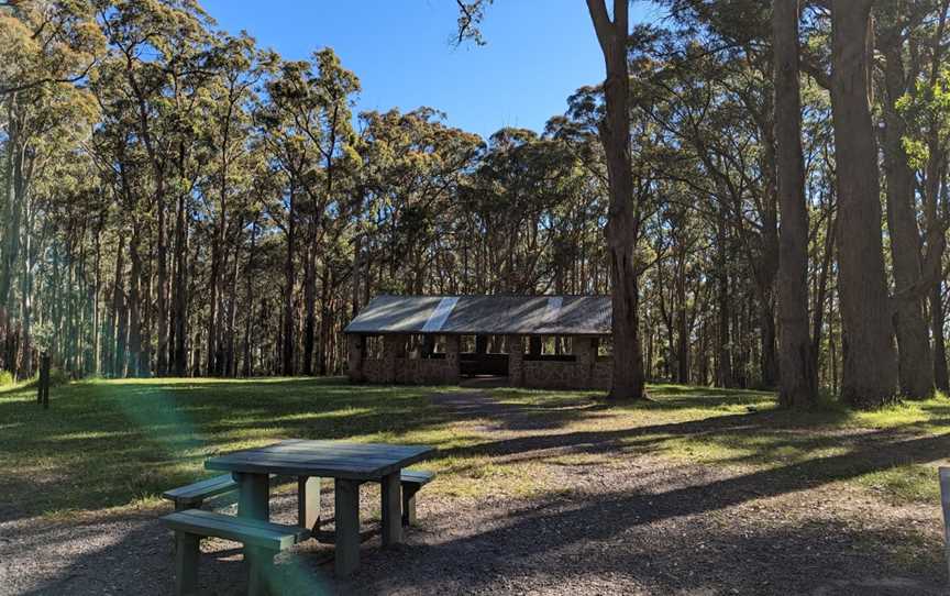 One Tree Hill Picnic Ground, Ferny Creek, VIC