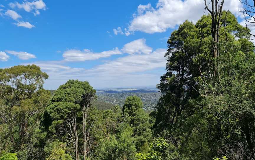 One Tree Hill Picnic Ground, Ferny Creek, VIC