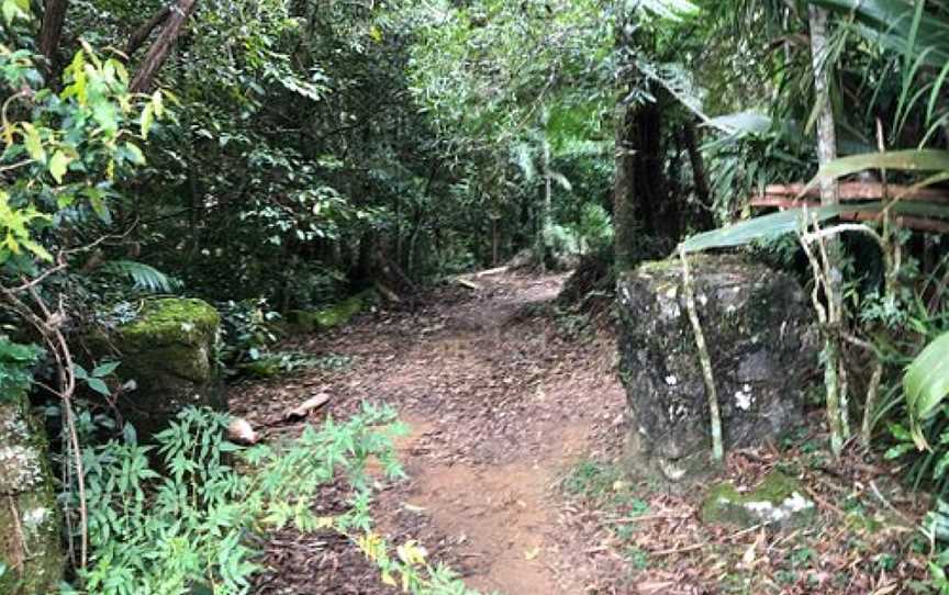 Tallanbana Picnic Area, Springbrook, QLD