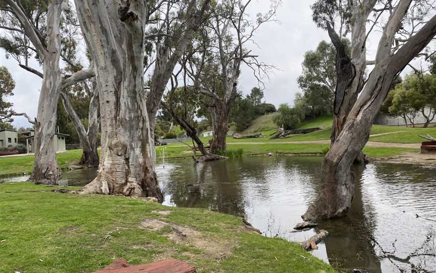 Tolmer Park, Bordertown, SA