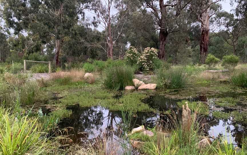 Yarrabing Wetlands Reserve, Wantirna, VIC