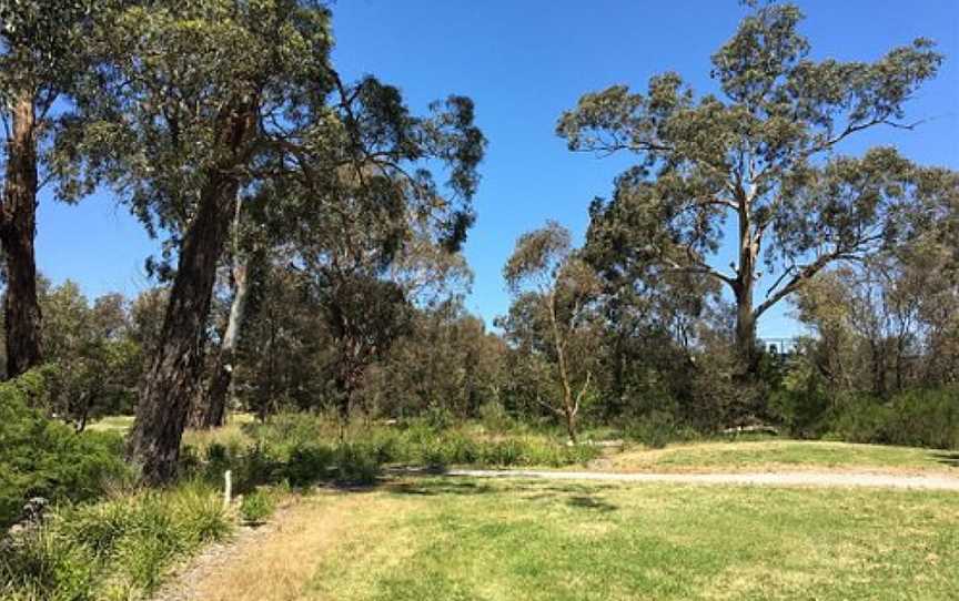 Yarrabing Wetlands Reserve, Wantirna, VIC