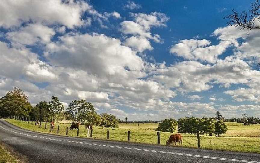 Berganns Lane Walk, Witta, QLD