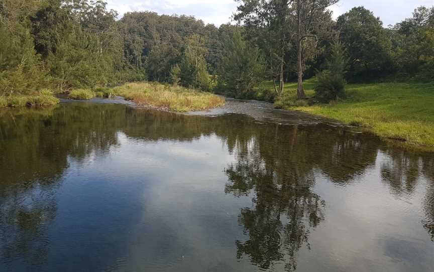 Bellinger River National Park, Dorrigo, NSW