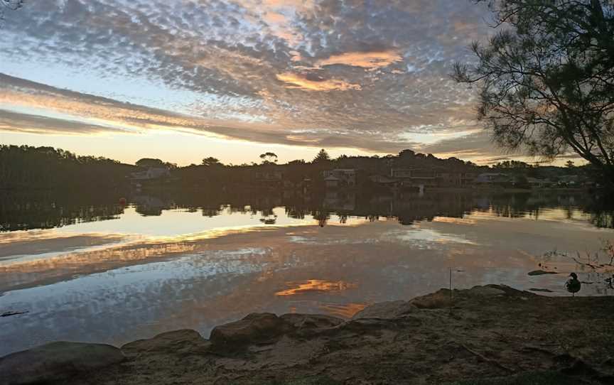 Berry Reserve, Narrabeen, NSW