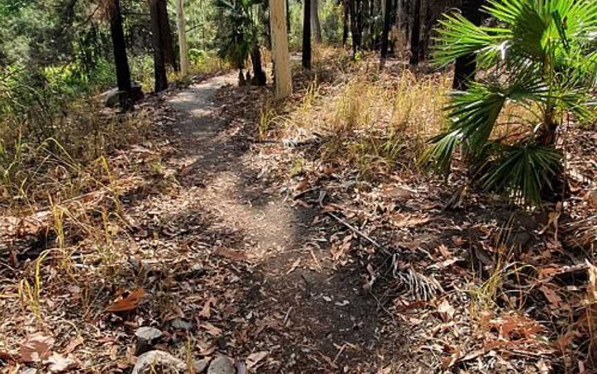 Boowinda Gorge, Carnarvon National Park, QLD