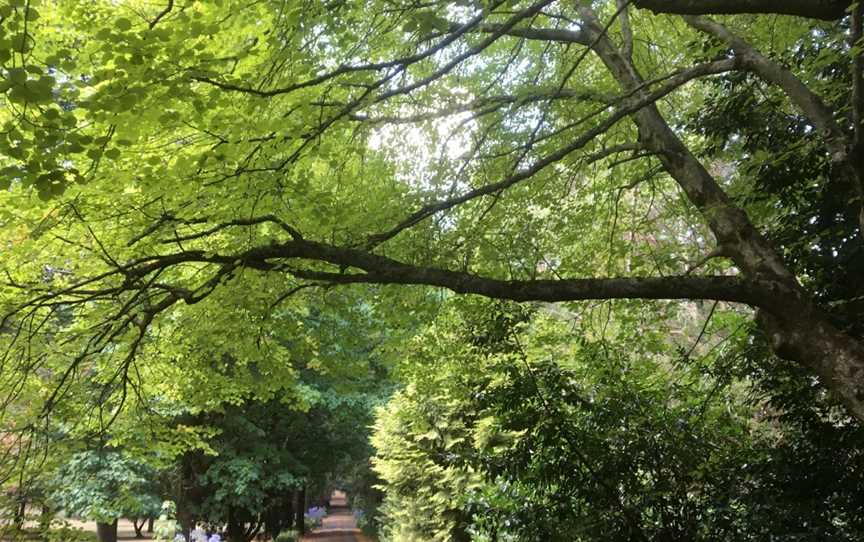 Cooinda Gardens, Mount Macedon, VIC