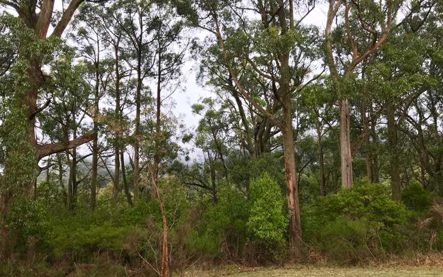 Cooinda Gardens, Mount Macedon, VIC