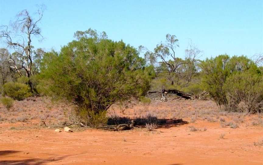 Danggali Conservation Park, Renmark, SA