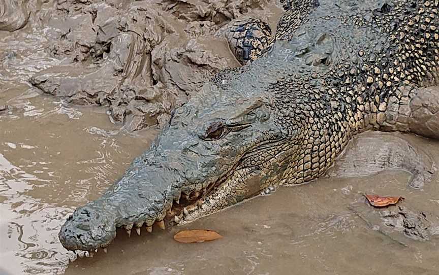 Djukbinj National Park, Marrakai, NT