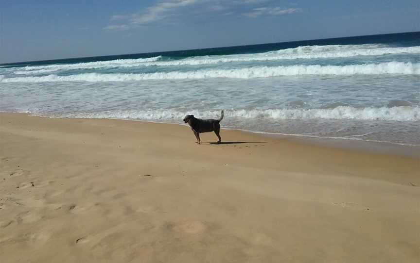 Duesburys Beach, Dalmeny, NSW