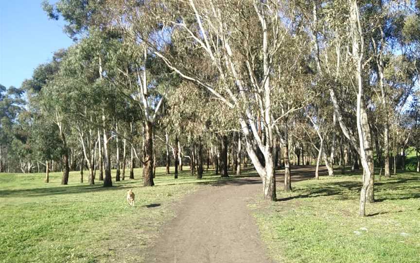 Egan Reserve, Coburg, VIC