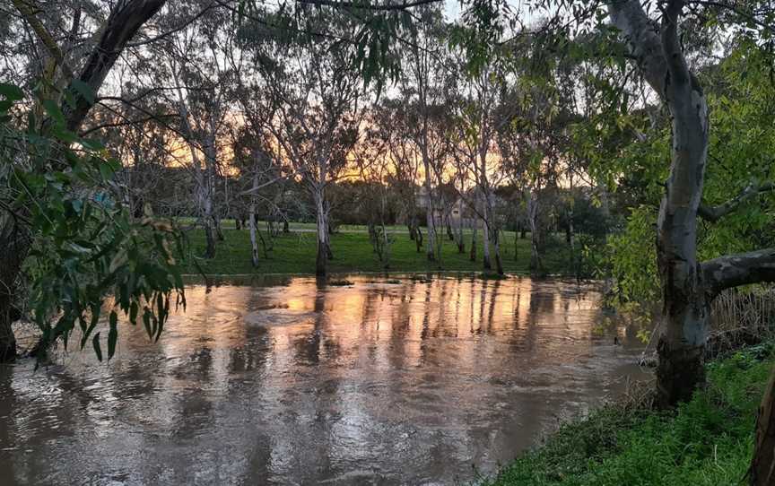 Egan Reserve, Coburg, VIC