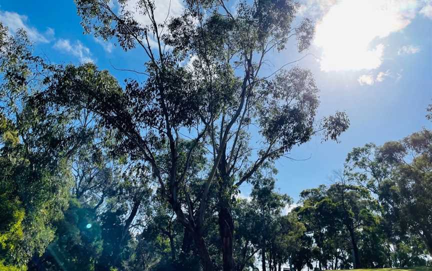 Forest Hill Reserve, Forest Hill, VIC