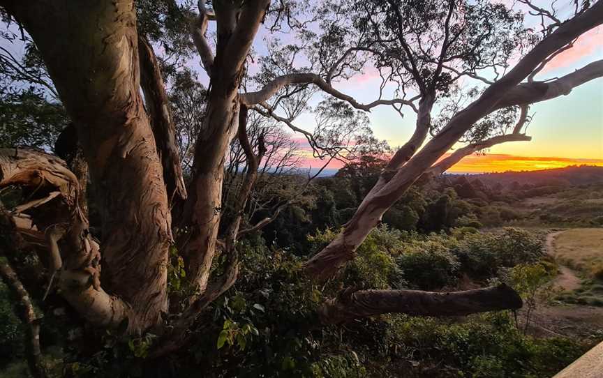 Fishers Lookout & Walking Track Entrance, Bunya Mountains, QLD