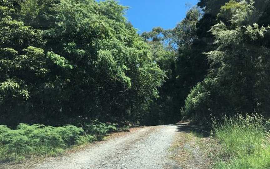 Foster Flora Reserve, Foster, VIC