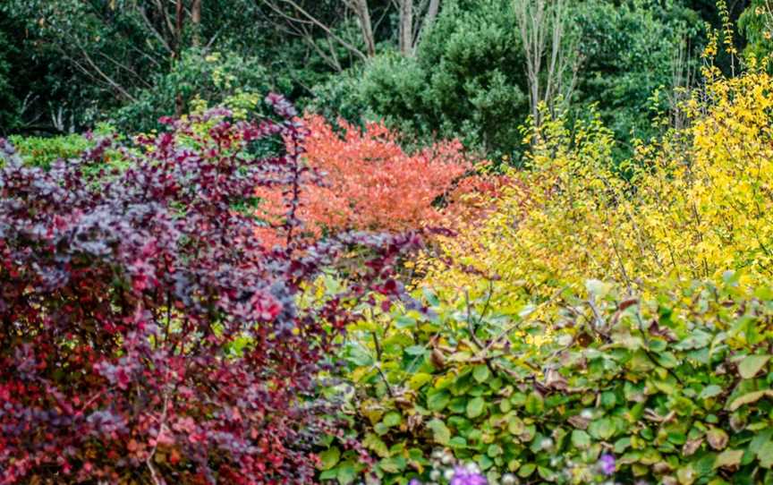 Frogmore Gardens, Newbury, VIC