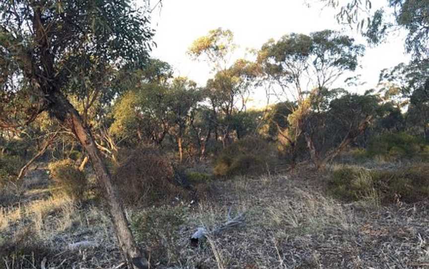 Gerang Gerung Fauna Reserve, Gerang Gerung, VIC