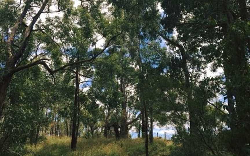 Henry Littledyke Reserve, Nyora, VIC