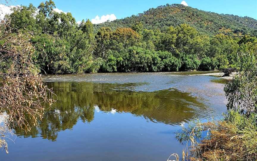 Jingellic Reserve, Jingellic, NSW